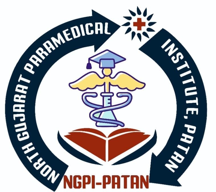 North Gujarat Paramedical Nursing Institute logo